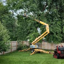 Best Hazardous Tree Removal  in East Palo Alto, CA